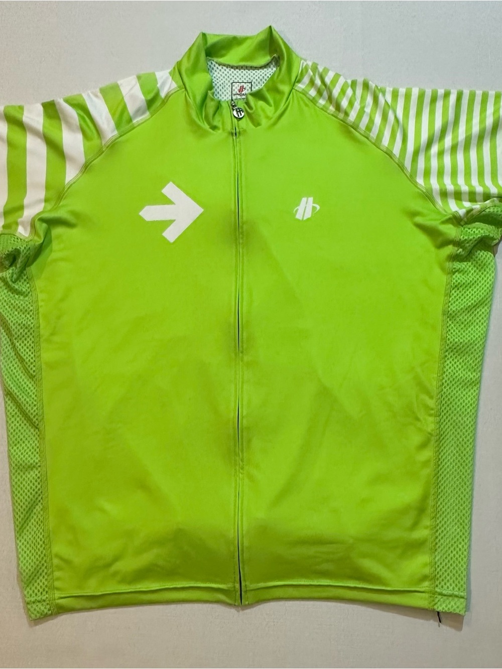 Hincapie Pelotonia Green Cycling Jersey 2XL